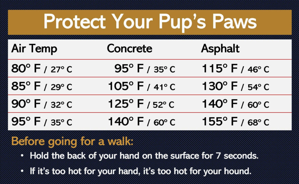 Knowing that the ground can be much hotter than the air temperature will help you keep your pet cool in hot weather.
